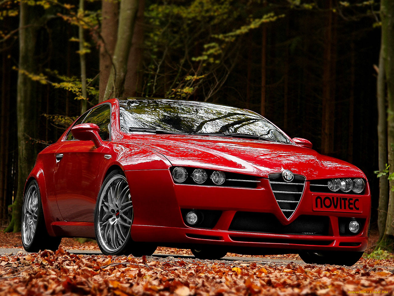 , alfa, romeo